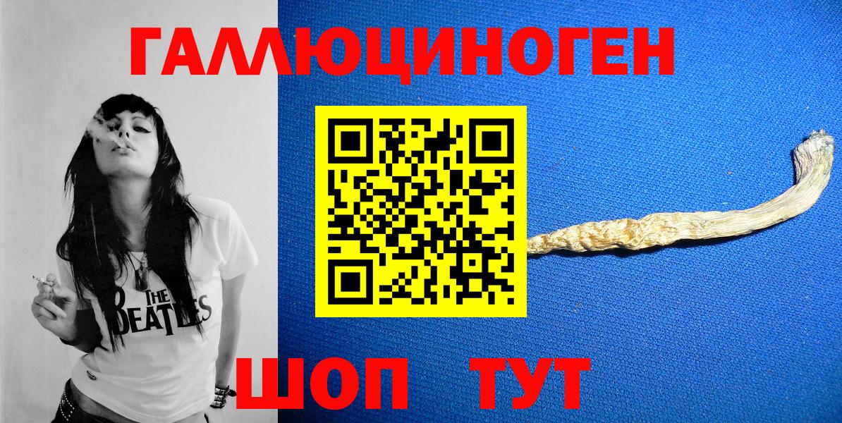 Псилоцибиновые грибы мицелий Санкт-Петербург