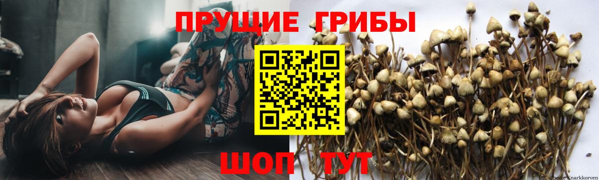 Санкт-Петербург  Псилоцибиновые грибы ЛСД  Вход с VPN 